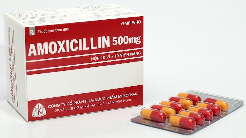 Amoxicillin là một loại kháng sinh được dùng phổ biến điều trị viêm nhiễm